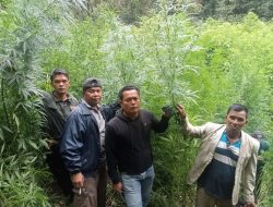 Sebuah teriakan “Maling!” gagalkan aksi curanmor di Tebing Tinggi